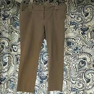 The Limited Signature Stretch Khaki Capris
